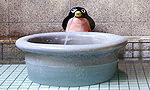 ペンギンつぼ風呂